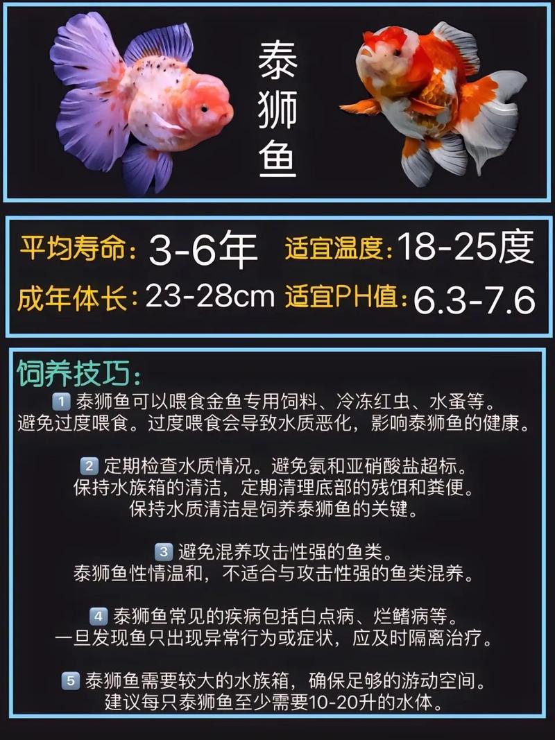 为啥都养热带鱼不养金鱼,选哪个养? 为啥都养热带鱼不养金鱼,选哪个养?