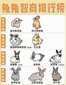 兔子是啮齿类吗，兔子门牙像老鼠？不是同类！