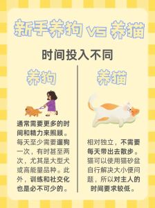 金鱼养3条比较招财，养金鱼招财，单数吉，金红旺，风水要注意！