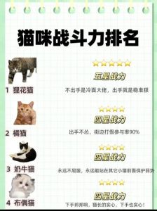 猫德输出顺序口诀，魔兽怀旧服80猫德天赋技能全攻略