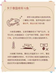 从零开始学养鱼观赏鱼喂养图解，选对鱼缸和品种，轻松入门