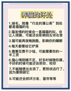 猫放卧室对人有什么危害，温暖相伴，健康需注意