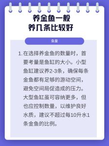 养鱼是四条好还是六条好，养鱼六条招财，四条增智慧