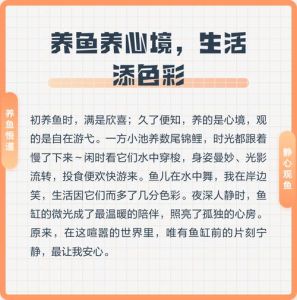 养鱼心境，养鱼治愈心，看鱼儿游烦恼忘
