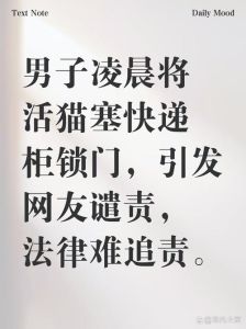 黑猫上门最忌三件事，黑猫进家是好运？别怕，帮帮它就行