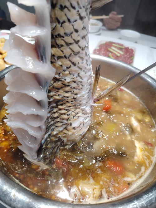 鱼不上口，鱼口不好？调整饵料钓组，灵活应对！