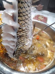 鱼不上口，鱼口不好？调整饵料钓组，灵活应对！