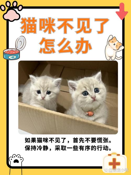 猫不让进卧室记仇吗，猫咪不让进卧室，主人多理解