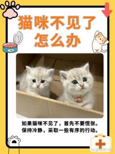 猫不让进卧室记仇吗，猫咪不让进卧室，主人多理解