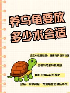 为什么蜥蜴不能养家里，养蜥蜴蛇影响风水？阴气重需注意！