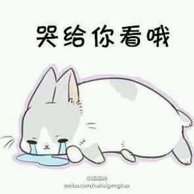 兔子能感觉到人哭吗，我家兔子超懂我，细心观察更贴心