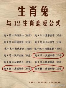 兔年和龙年出生的人合适吗，兔龙恋挺有意思，互补有火花！