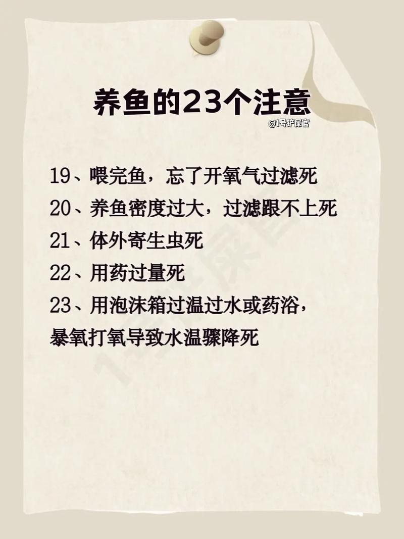 变色龙在中国可以养吗,养变色龙要注意品种合法性及环境要求 变色龙在中国可以养吗,养变色龙要注意品种合法性及环境要求
