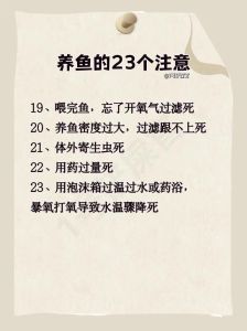 变色龙在中国可以养吗，养变色龙要注意品种合法性及环境要求