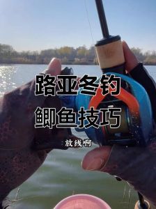 路亚为什么钓不了鲫鱼，路亚钓鲫鱼效果差，鲫鱼小信号难捕捉