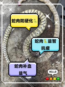2023年人工养殖蛇还可以吃吗，养吃蛇不犯法，野生蛇和国家保护的不行，吃有风险