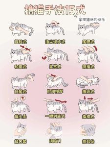 撸猫的一千零一种技巧，撸猫放松自己也放松，温柔方式增感情
