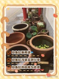 旧鱼缸不用了怎么处理，旧鱼缸别扔，变装饰品或生态缸！
