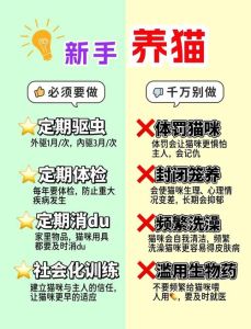 头一次撸猫需要注意什么，撸猫看反应，摸它爱抚处