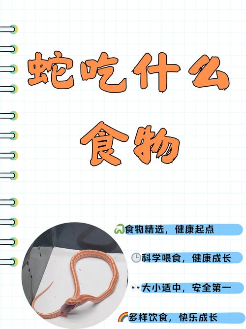 吃蛇肉都不扒皮吗，带皮蛇肉好营养？看情况，安全第一！