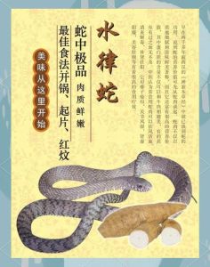 养殖水律蛇合法吗，养水律蛇需看地方法规，控温控湿有难度