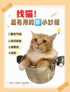 狗浑身抽搐哆嗦站不起来，狗狗抽搐怎么办？及时就医别耽误！