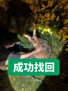野生蛇与养殖蛇的区别，环境不同，各有优劣