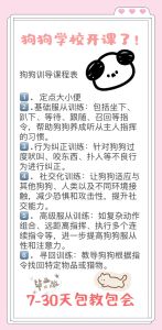 养犬举报最狠的方法，举报邻居狗扰民，12345或动物管理电话投诉