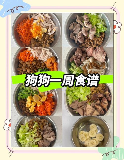 过满月的小狗应该吃什么,喂奶保暖促排便 过满月的小狗应该吃什么,喂奶保暖促排便