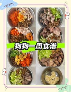 过满月的小狗应该吃什么，喂奶保暖促排便