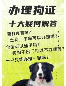 上海狗狗需要报备吗，上海养狗要登记办手续，对大家都好！