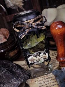 绿双冠蜥，酷炫又难养的热带宠物