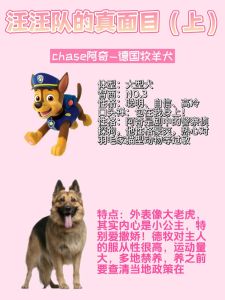 汪汪队的小狗分别叫什么，可爱小狗救援队，团结合作保平安！