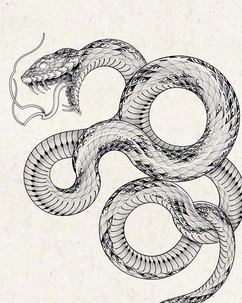 蛇鳞片画法，形态鳞片全解析