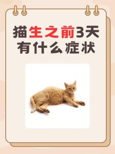 一个无盖的长方体玻璃鱼缸，无盖鱼缸玻璃用量及水深计算