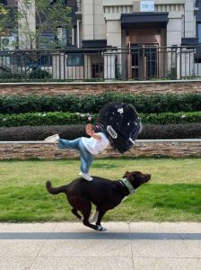 骑狗烂裤裆迷信说法骑猫呢，迷信老话骑狗烂裤裆，南北说法大不同
