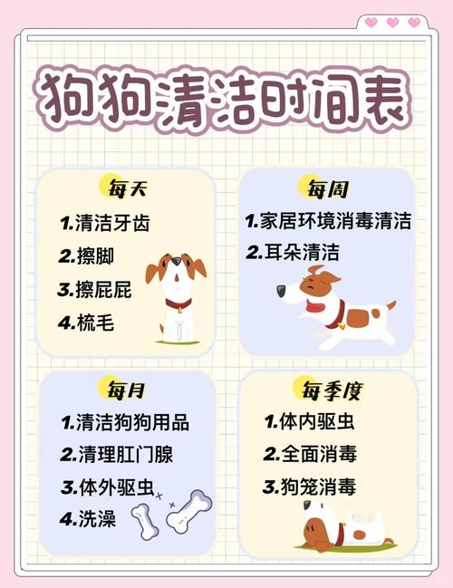如何在家里养狗并且家里干净，训练规矩，保持清洁，全家一起乐