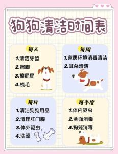 如何在家里养狗并且家里干净，训练规矩，保持清洁，全家一起乐