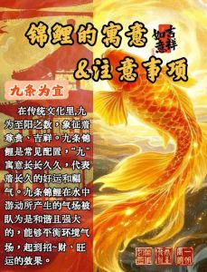 家里养9条鱼好不好，养九条鱼旺运又费心，适合你吗？