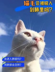 如何养热带鱼，喂食换水混养要注意！