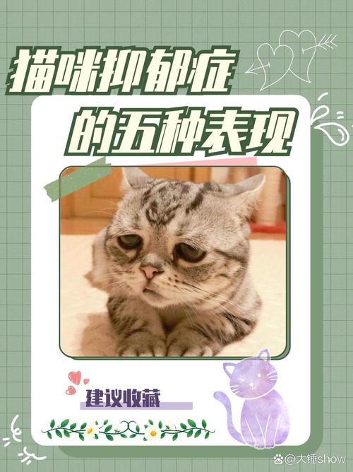 新开缸24小时放鱼,新鱼缸消毒养水教程 新开缸24小时放鱼,新鱼缸消毒养水教程