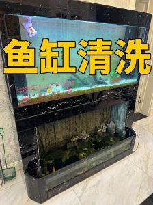 农家观赏鱼鱼缸怎么修，鱼缸裂缝修补方法及注意事项