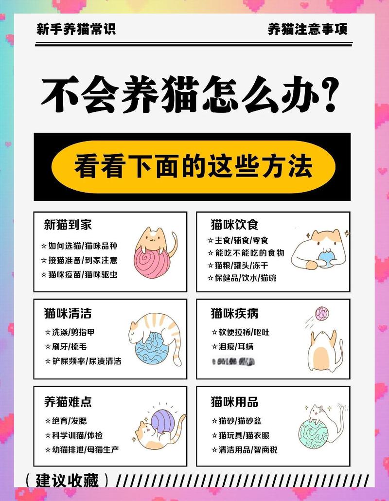 农村养猫怎么样才能不丢,农村养猫自由又安全小妙招 农村养猫怎么样才能不丢,农村养猫自由又安全小妙招