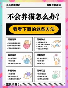 农村养猫怎么样才能不丢，农村养猫自由又安全小妙招
