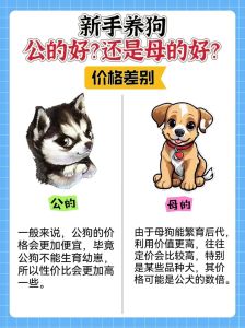 主人对狗狗好狗狗知道吗，狗狗最懂你！累时陪你，难过时安慰，摇尾巴表达爱！