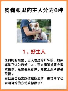小狗认定的主人是啥样，摇尾巴跟脚边护家露肚皮，都是爱的表现！