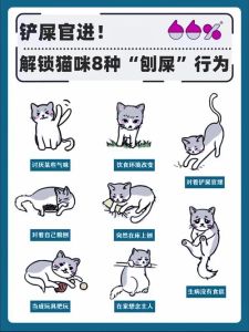 埋了猫的功德和好处，挂树葬猫？是迷信还是尊重生命？