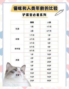 7年猫一般人养不了，养猫过久有怪事？老猫关节疼爱粘人，养猫责任重大需珍惜