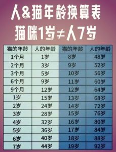 6岁的猫咪相当于人类多大，科学养猫，猫咪活更久