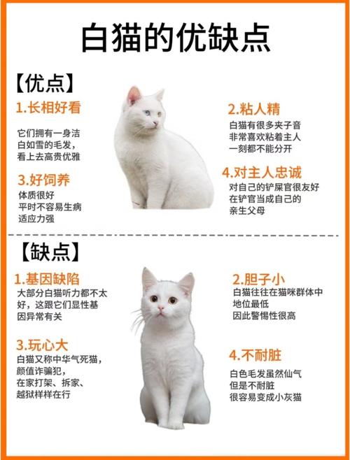 猫咪只活7个多月有什么说法吗,猫咪寿命看品种?养好是关键! 猫咪只活7个多月有什么说法吗,猫咪寿命看品种?养好是关键!